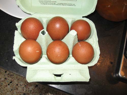 Eggs1.jpg