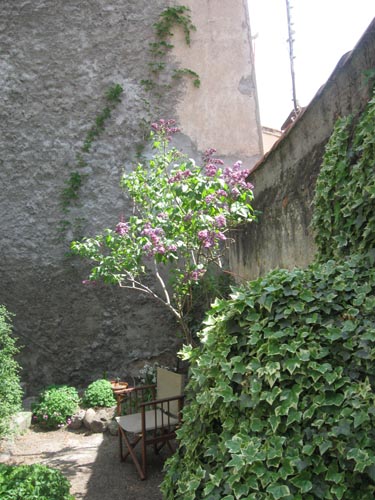 Jardin.jpg