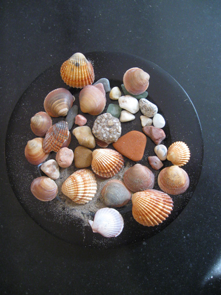 Shells.jpg