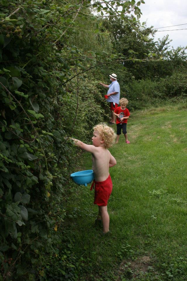 blackberrying.jpg