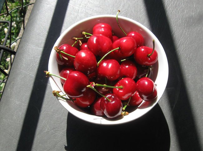 cherries.jpg.jpg